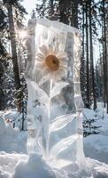 ai genererad snö är is vägg tillverkad av ren vit kristall med en solros blomning. de bakgrund funktioner lång och tät träd täckt i tung snö, med solljus lysande genom de jord. foto