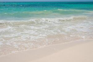 skön strand i playa del Carmen, mexico foto