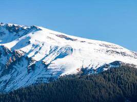 majestätisk snö täckt berg och skog nära murren, schweiz foto