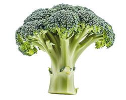 ai genererad färsk broccoli isolerat på vit bakgrund. närbild skott foto