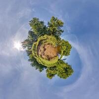 mycket liten planet omvandling av sfärisk panorama 360 grader. sfärisk abstrakt antenn se med träd i skog med klumpig grenar i blå himmel. krökning av Plats. foto