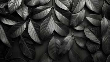 ai genererad svartvit löv i natur foto