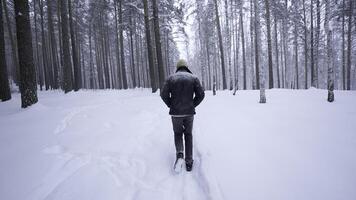 eleganta ung man gående i vinter- skog. media. bak- se av man gående i vinter- skog. gående längs väg med faller snö i vinter- skog foto