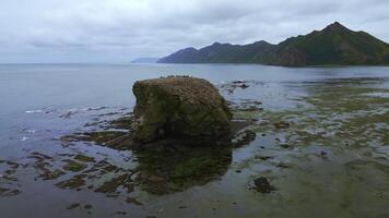 klippig sten i hav på kust. klämma. topp se av sten i hav nära Strand med alger efter storm. nordlig landskap av kust med stenar på molnig sommar dag foto