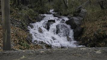 vattenfall flöden över de stenar till de flod. kreativ. man vandrare gående i främre av kall bergig ström i höst skog. foto