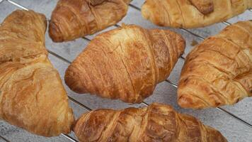 färsk croissanter på en kyl- kuggstång foto