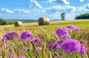 ai genererad lila blommor och hö balar i fält foto