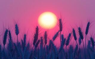 ai genererad vete fält solnedgång silhuett foto