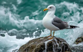 ai genererad fiskmås uppflugen på klippig strandlinje foto