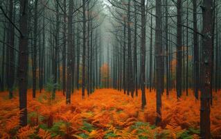 ai genererad mystisk höst skog foto