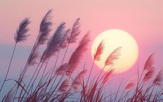 ai genererad en lugn solnedgång badade i pastell nyanser former de perfekt bakgrund för de delikat dansa av vass svängande i en mild bris foto