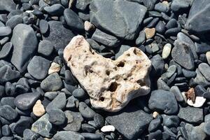 skön vit hjärta formad naturlig korall på stenar foto