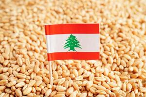 libanon flagga på spannmål vete, handel exportera och ekonomi begrepp. foto