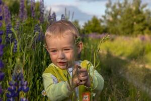 mor och barn son är gående i en fält av blommor foto