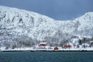 rd rorbu hus i Norge i vinter- foto