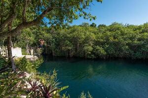 exotisk tropisk cenote i karibiska mexico foto