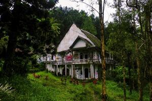 ett övergiven hus i de mitten av de skog den där utseende en liten skrämmande foto