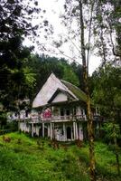 ett övergiven hus i de mitten av de skog den där utseende en liten skrämmande foto