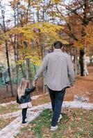 liten flicka promenader längs en asfalterad väg i de höst skog, innehav henne pappa hand. tillbaka se foto