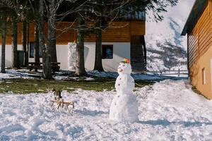 tabby katt står på en kälke Nästa till en snögubbe i de gård av en trä- chalet och utseende in i de distans foto