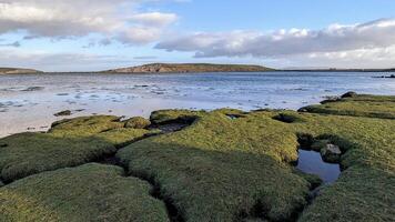 skön kust landskap landskap, vild atlanten sätt, grön kulle, ö, grön gräs strand på silverstrand i galway, Irland, natur bakgrund, tapet foto