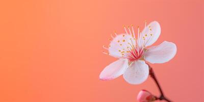 ai genererad stänga upp detalj av en enda plommon blomma, isolerat på en lutning bakgrund foto