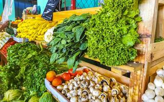 färsk grönsaker frukt och sallad grönt örter på de marknadsföra. foto