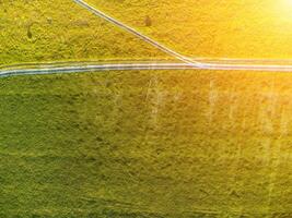 antenn se på grön vete fält och väg i landsbygden. fält av vete blåser i de vind på solnedgång. ung och grön spikelets. öron av korn beskära i natur. agronomi, industri och mat produktion foto