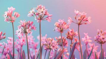 ai genererad en vibrerande visa av blomning vild purjolök blommor visa upp deras liv cykler, isolerat på en lutning bakgrund foto