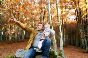 pappa Sammanträde med en liten flicka i hans vapen på en stubbe poäng henne finger på de träd i de höst skog foto