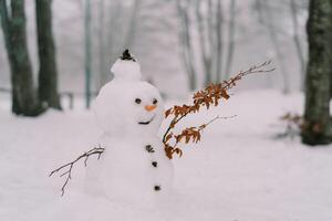 leende snögubbe i en hatt med en morot näsa och kvisthänder i en snöig parkera foto