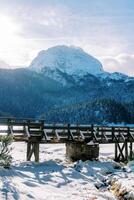 trä- bro nära svart sjö. durmitor nationell parkera, monte foto