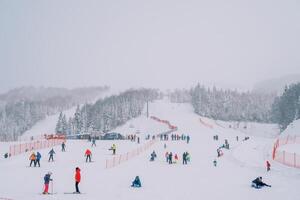 turister i färgrik åka skidor kostymer åka skidor längs de kolasin 1600 åka skidor backe. monte foto