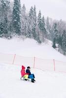 liten pojke och flicka är sledding ner de backe av en snöig berg foto