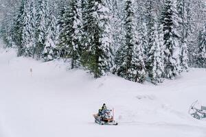 man i en gul åka skidor kostym rider en snöskoter genom en snöig skog på de fot av en kulle foto