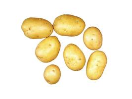 potatisar i de kök på vit bakgrund foto