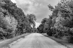 skön tömma asfalt väg i landsbygden på ljus bakgrund foto