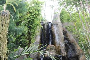 vattenfall funktion i ett inomhus- uteplats trädgård. foto