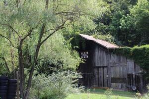 landskap runt om en bäck i gatlinburg tennessee foto