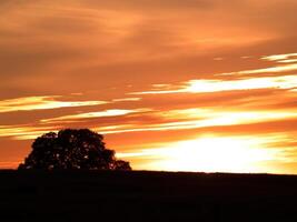 orange moln på solnedgång med ek träd och kulle foto