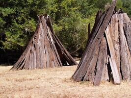 punkt Reyes, ca, 2008 - miwok redwood bark hyddor utställning punkt reyes nationell parkera foto