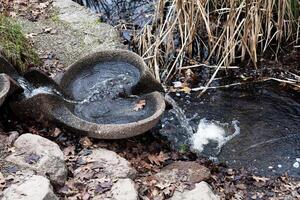 rättvis ekar, ca, 2014 - vatten och höst löv i damm och fontän foto