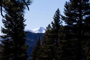 snö täckt berg topp genom träd foto
