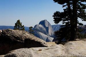 halv kupol yosemite kalifornien mot blå himmel med tall träd foto