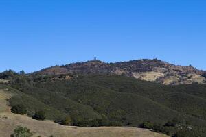 bred skott av montera diablo kalifornien träd himmel foto