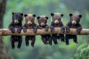 ai genererad Björn bebis grupp av djur hängande ut på en gren, söt, leende, förtjusande foto