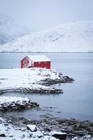 röd rorbu hus i vinter, lofoten öar, Norge foto