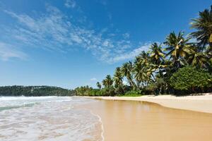 idyllisk strand. sri lanka foto