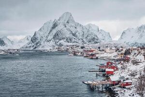 reine fiske by, Norge foto