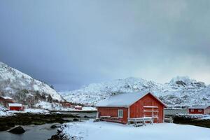 röd rorbu hus i vinter, lofoten öar, Norge foto